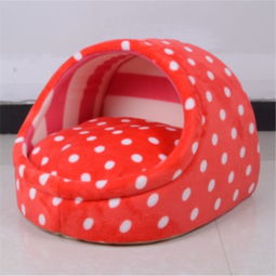 当阳光射进阴霾 蘑菇街优店与宠物日用品的情感联结